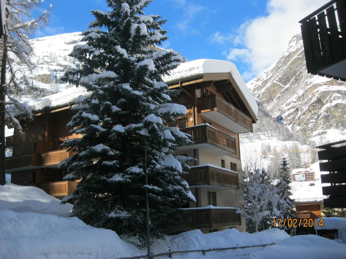 Apartment Balma 3 Rooms Zermatt Extérieur photo