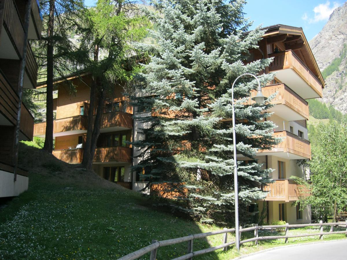 Apartment Balma 3 Rooms Zermatt Extérieur photo